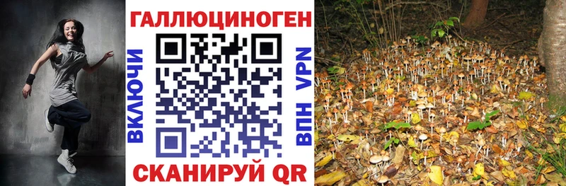 Псилоцибиновые грибы прущие грибы  купить  цена  Энгельс 